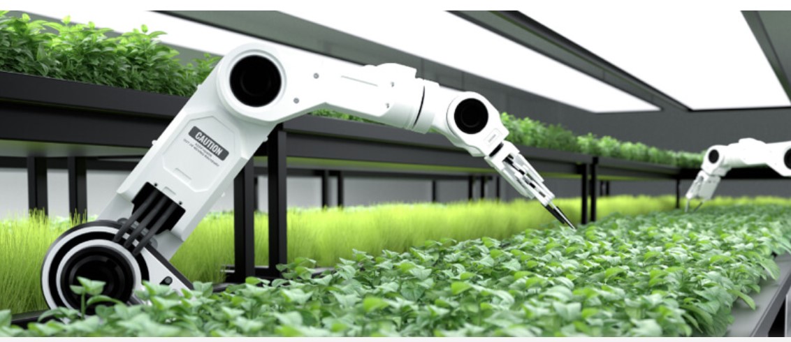 AI in Agriculture: Cultivating a Greener Future